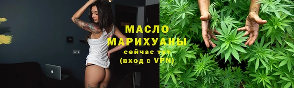 сатива Новодвинск