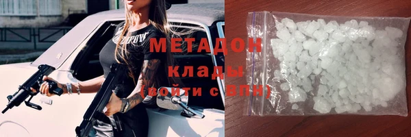 сатива Новодвинск