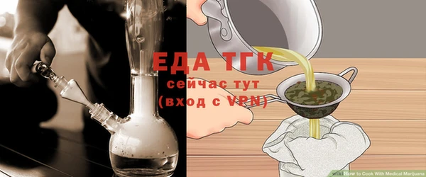 индика Новокубанск