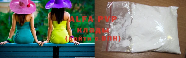 индика Новокубанск