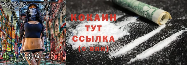 индика Новокубанск