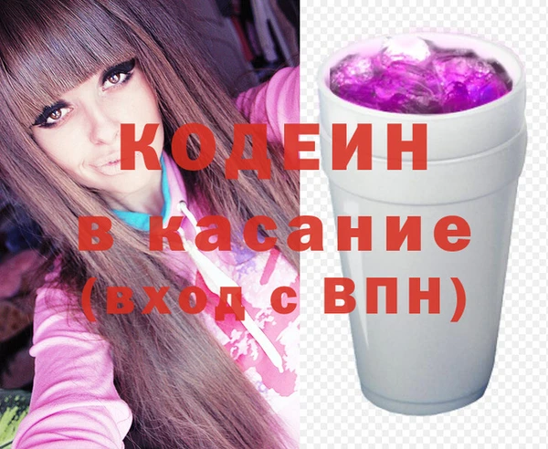 сатива Новодвинск