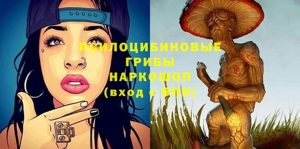 индика Новокубанск