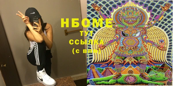индика Новокубанск