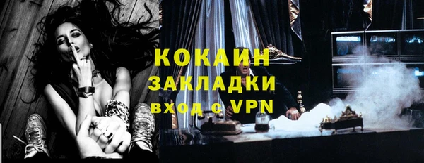 индика Новокубанск