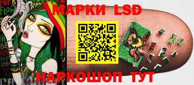 стаф Рязань