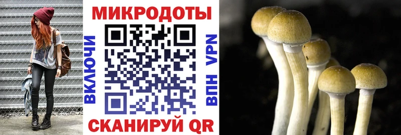 Псилоцибиновые грибы Magic Shrooms  Шали 