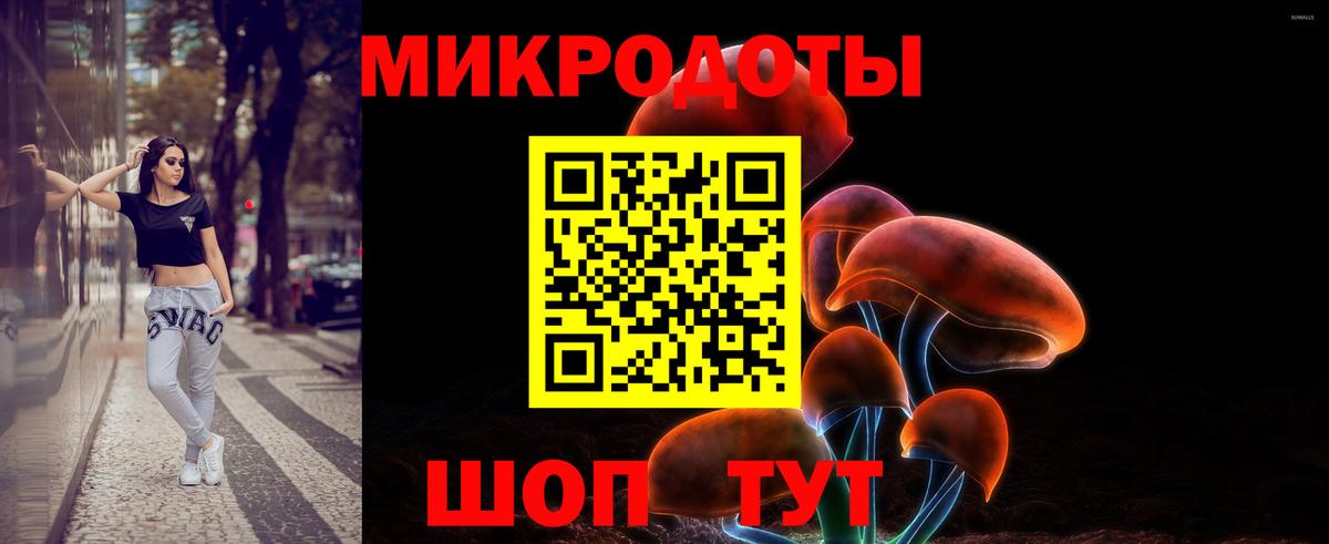 Галлюциногенные грибы мухоморы Шали