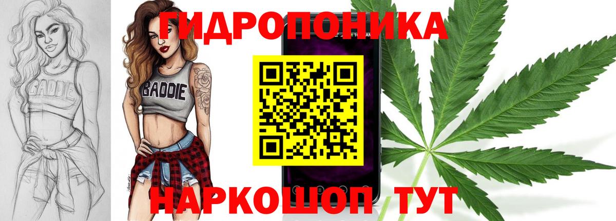Шали  Бошки Шишки марихуана  Вход с VPN  Шишки марихуана Ganja 